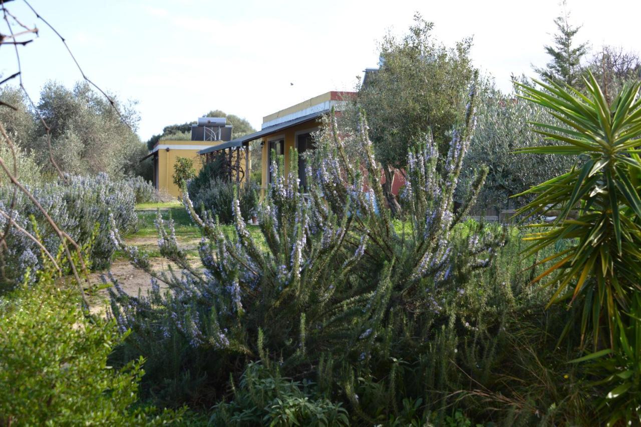 B&B Casa Per Ferie Villaggiocarovana Castiadas Exterior foto