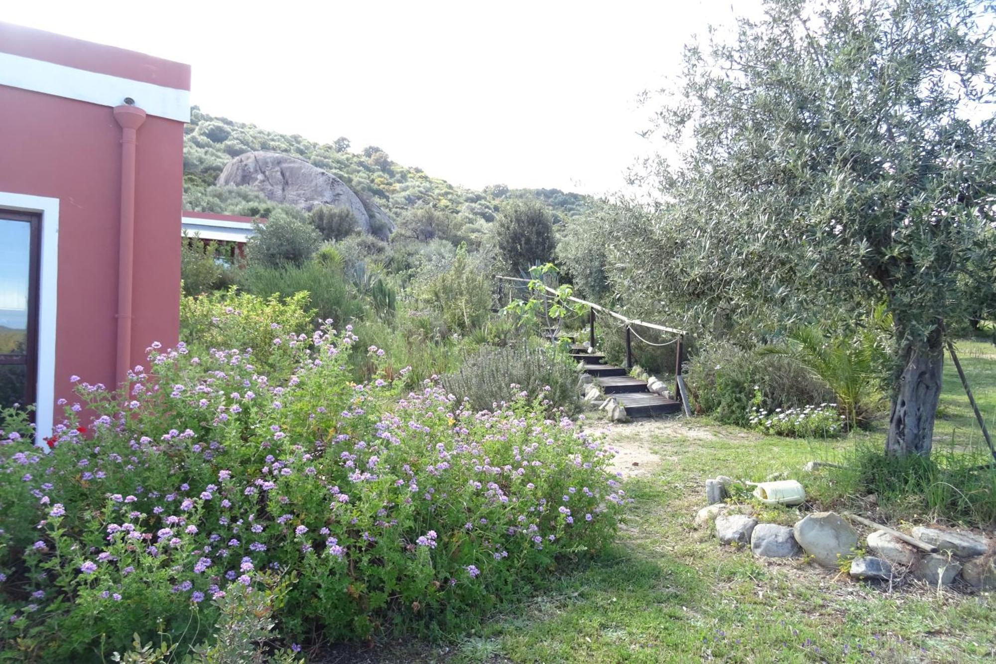 B&B Casa Per Ferie Villaggiocarovana Castiadas Exterior foto